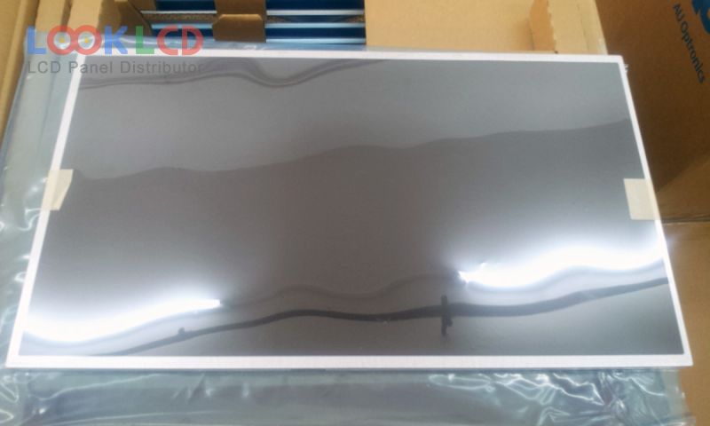 B156XTN02.4